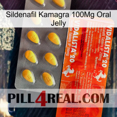 Sildenafil Kamagra 100Mg Oral Jelly new01